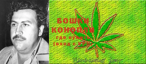 молекула духа Балабаново