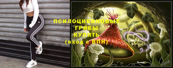 молекула духа Балабаново