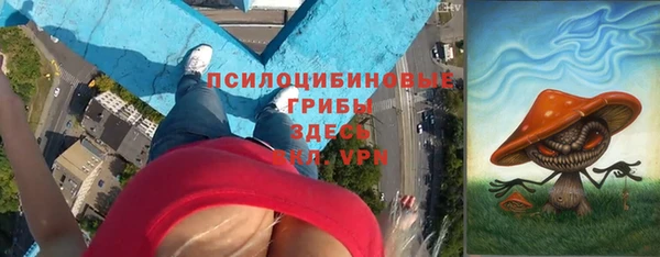 крисы Балахна