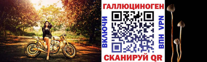 KRAKEN как войти Навашино Галлюциногенные грибы Magic Shrooms